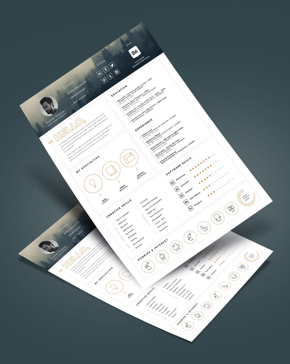 free stylish resume template and resume icons ai file