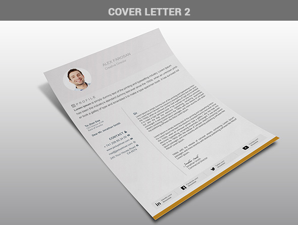 free professional resume  cv  template in 3 different