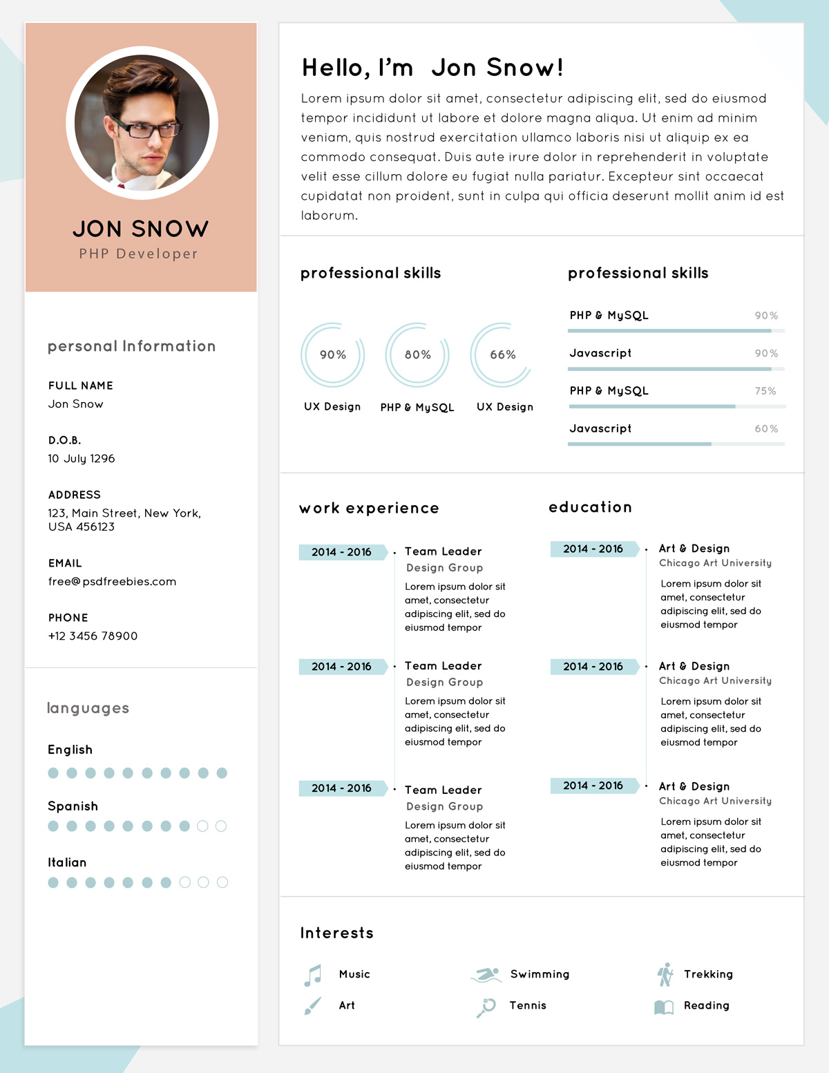 free clean resume   cv template psd for php developer
