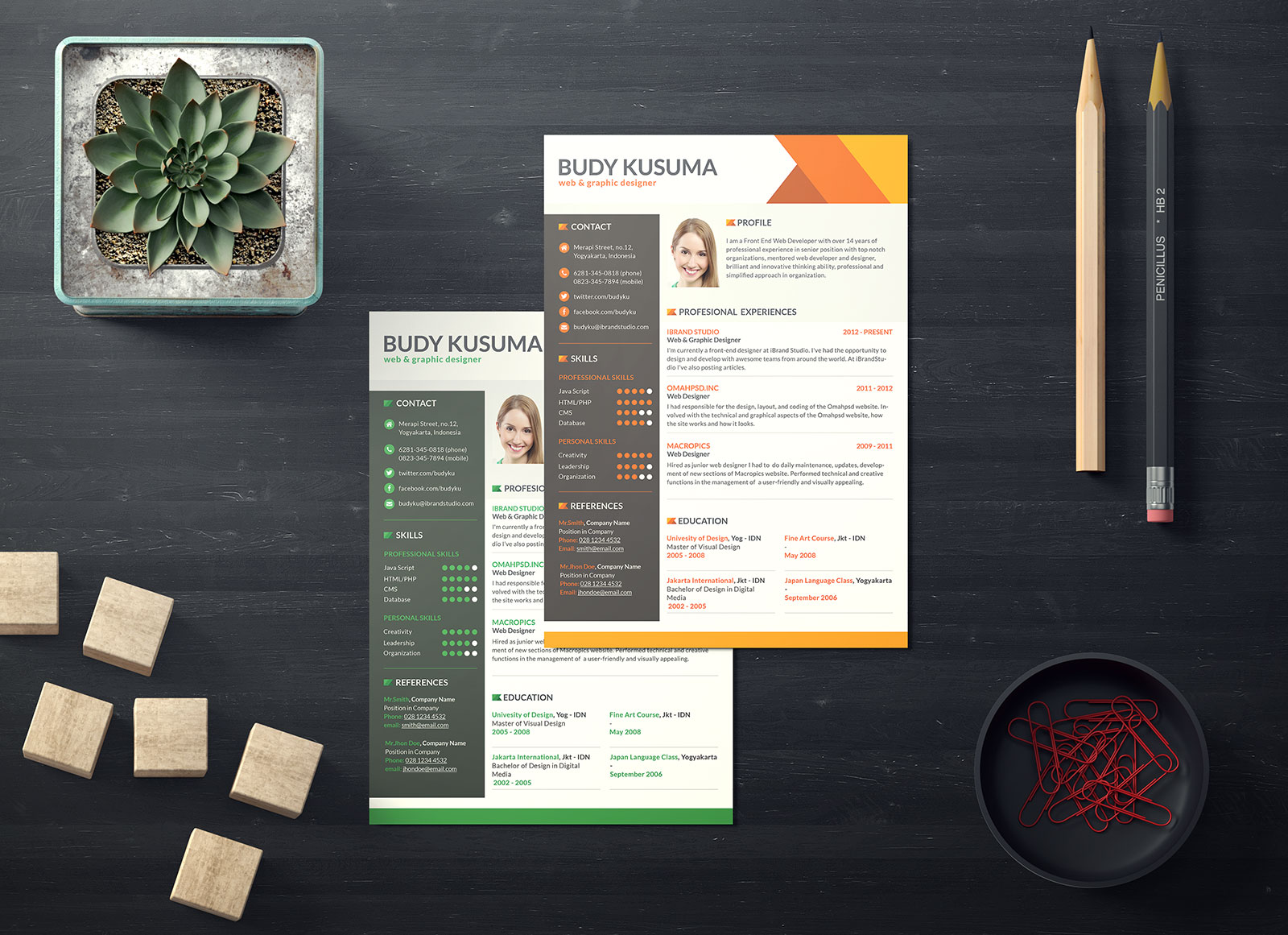free professional resume template for job in photoshop psd