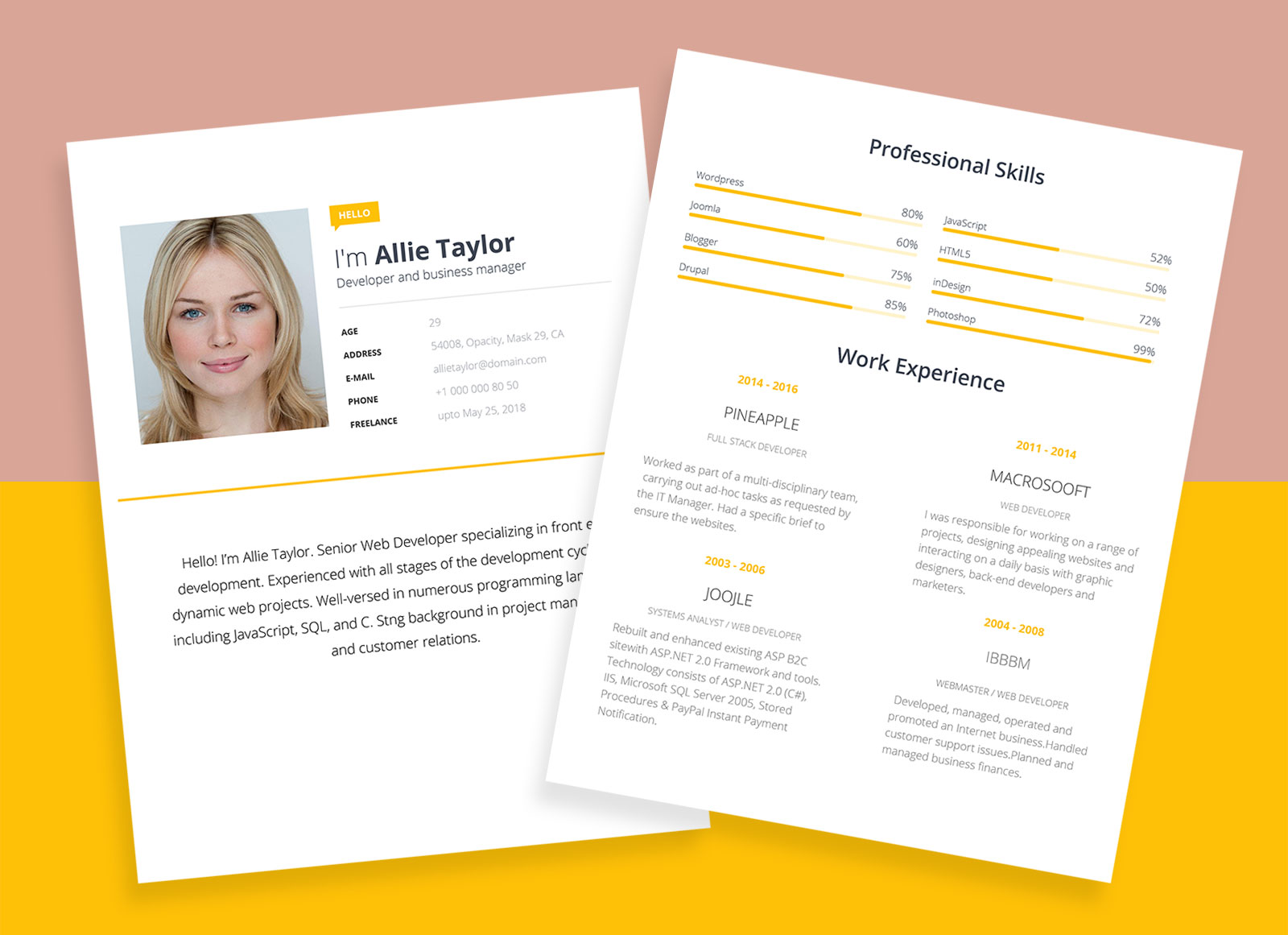 Free-Simple-Word-Resume-Template-for-Software-Developer (2)